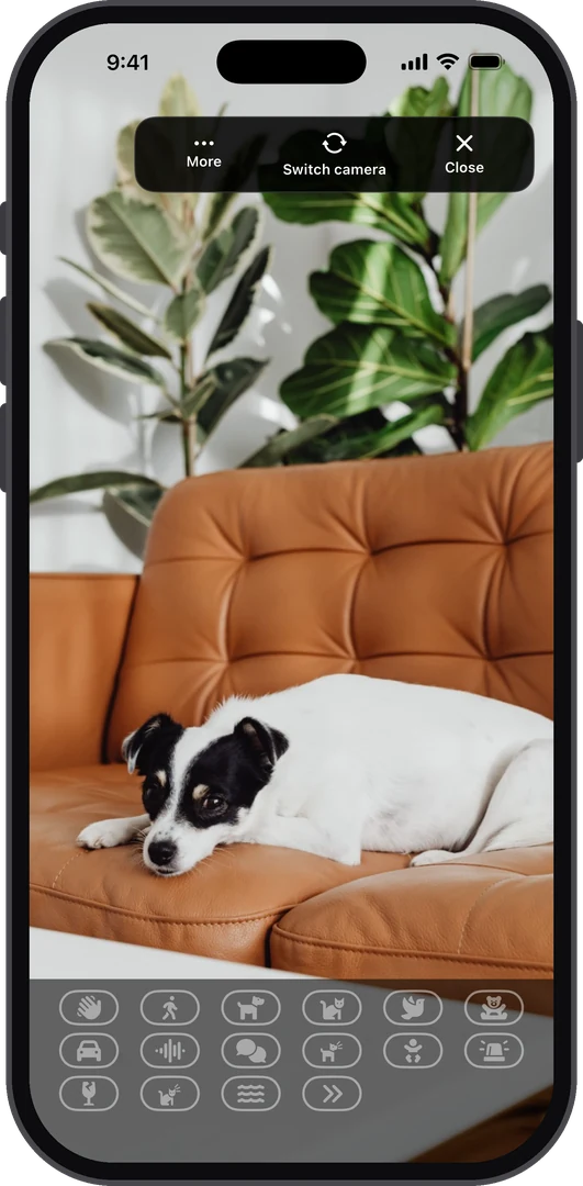 AiCam camera screen with a dog on the sofa, live controls and trigger indicators
