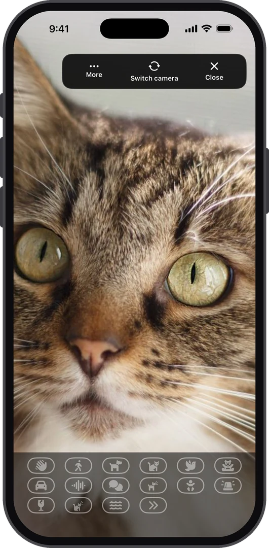 AiCam camera watching a cat